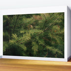Pine Details Wall Mural Gallery Image 2