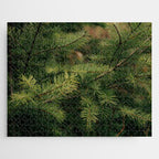 Pine Details Jigsaw Puzzle Gallery Image 1