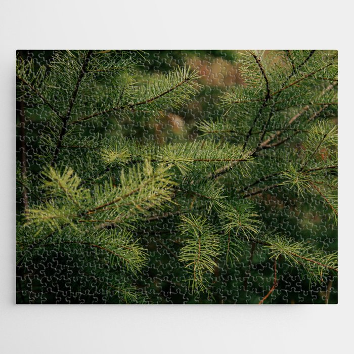 Pine Details Jigsaw Puzzle Gallery Image 1