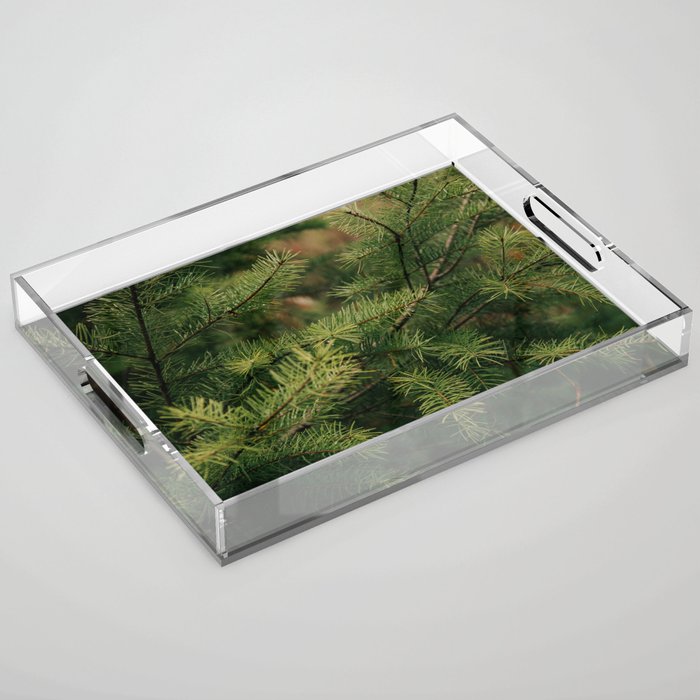 Pine Details Acrylic Tray Gallery Image 1