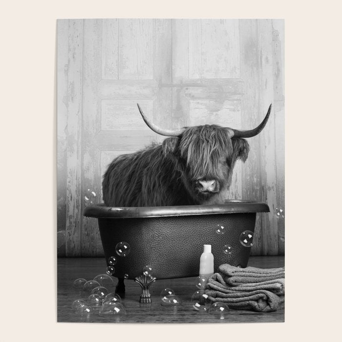 Highland Cow in the Tub Poster Gallery Image 4