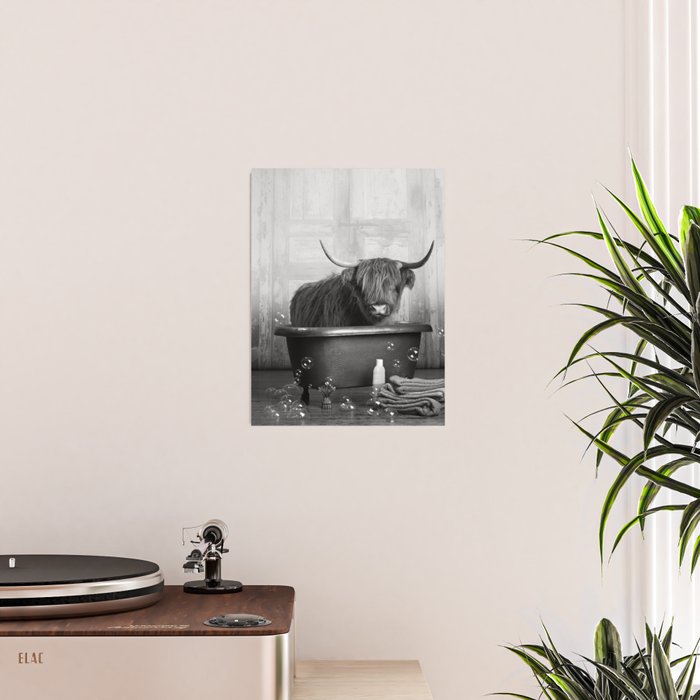 Highland Cow in the Tub Poster Gallery Image 2