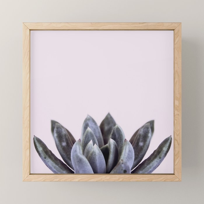 pink succulent cactus Mini Art Print Gallery Image 1