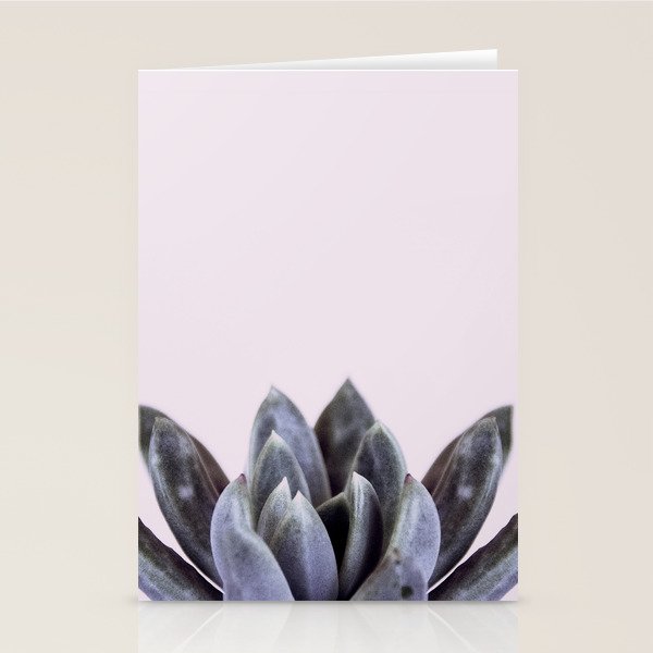 pink succulent cactus Stationery Card Gallery Image 2
