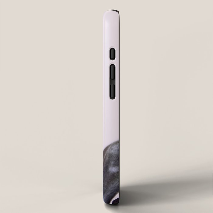 pink succulent cactus iPhone Case Gallery Image 2