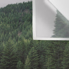 Adventure Forest River - Pacific Northwest Wanderlust Wall Tapestry Gallery Image 3
