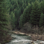 Adventure Forest River - Pacific Northwest Wanderlust Coffee Mug Gallery Image 2