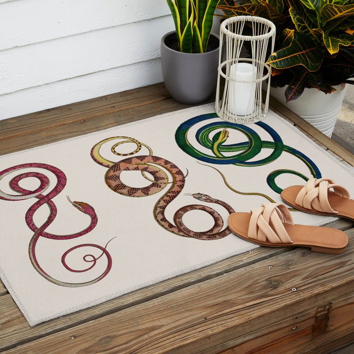 Albertus Seba Three Snakes Illustration  Outdoor Rug Gallery Image 2