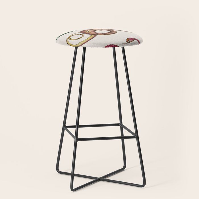 Albertus Seba Three Snakes Illustration  Stool Gallery Image 1