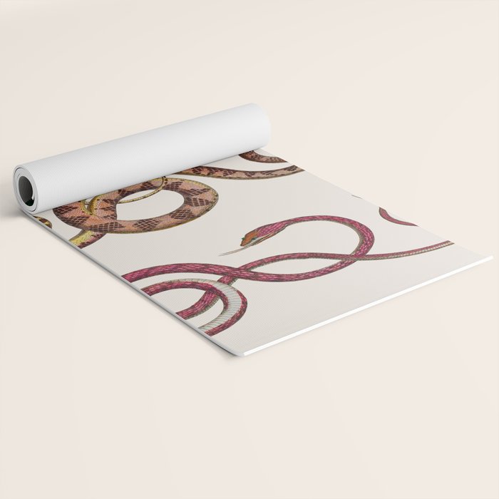 Albertus Seba Three Snakes Illustration  Yoga Mat Gallery Image 2