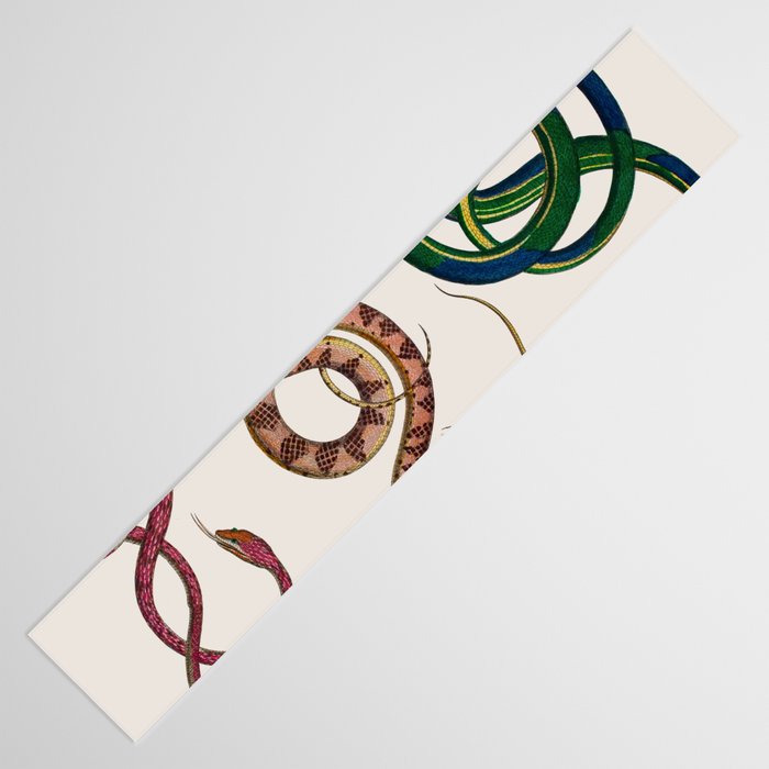 Albertus Seba Three Snakes Illustration  Table Runner Gallery Image 3