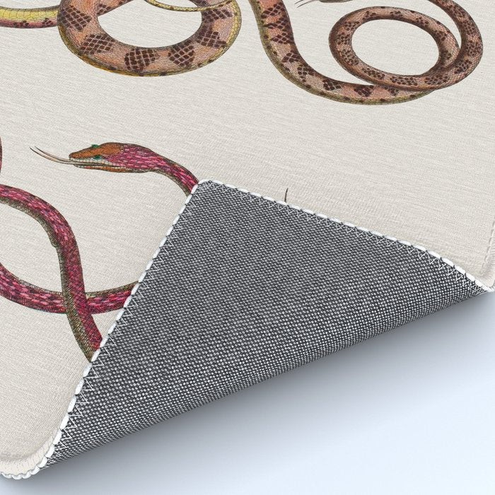 Albertus Seba Three Snakes Illustration  Rug Gallery Image 4