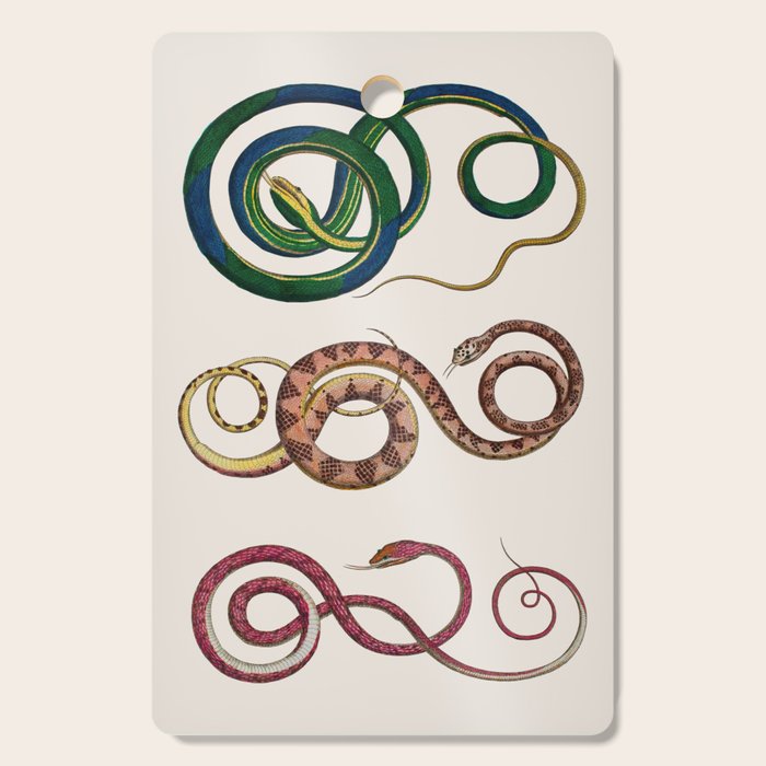 Albertus Seba Three Snakes Illustration  Cutting Board Gallery Image 1