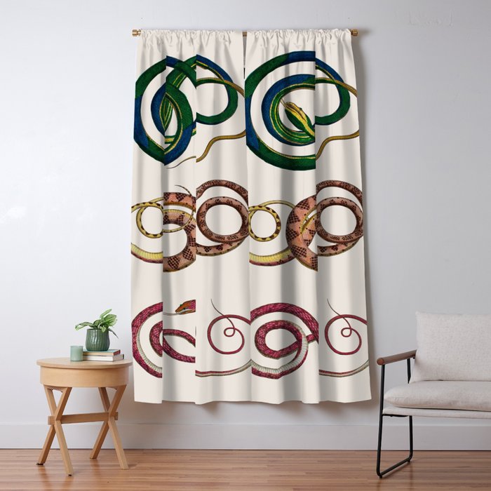 Albertus Seba Three Snakes Illustration  Window Curtain Gallery Image 5