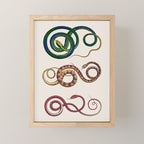 Albertus Seba Three Snakes Illustration  Mini Art Print Gallery Image 1