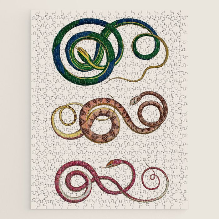 Albertus Seba Three Snakes Illustration  Jigsaw Puzzle Gallery Image 1