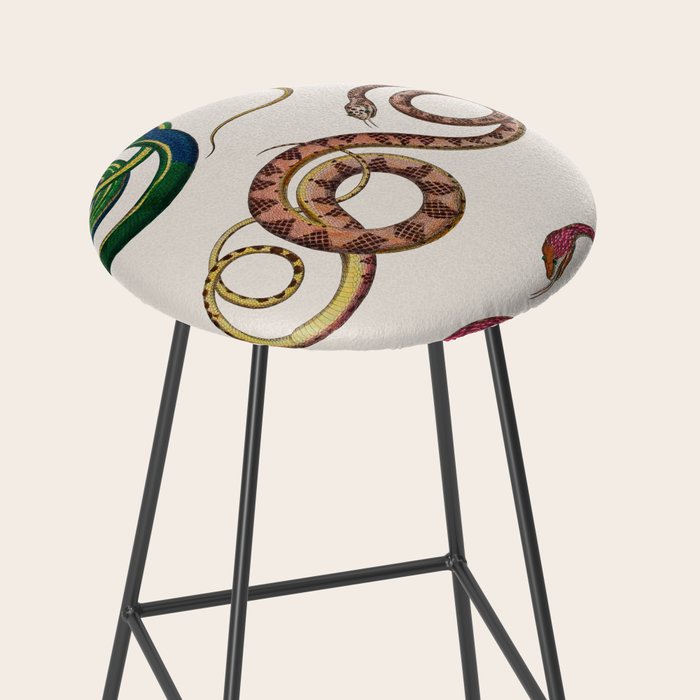 Albertus Seba Three Snakes Illustration  Stool Gallery Image 2