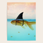 goldfish with a shark fin Poster Gallery Image 4