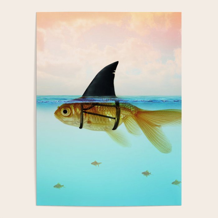 goldfish with a shark fin Poster Gallery Image 4