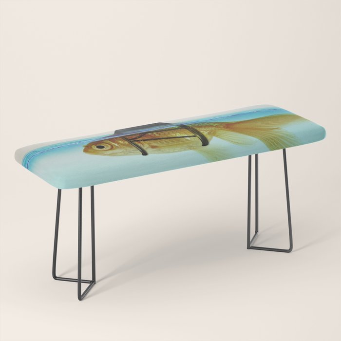 goldfish with a shark fin Bench Gallery Image 1