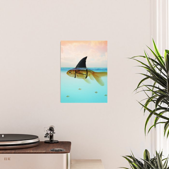 goldfish with a shark fin Poster Gallery Image 2