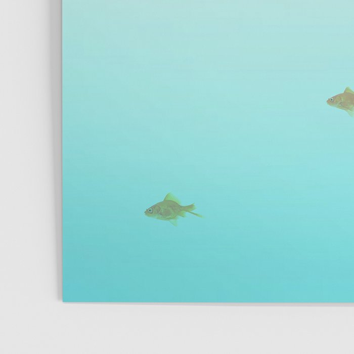 goldfish with a shark fin Poster Gallery Image 3