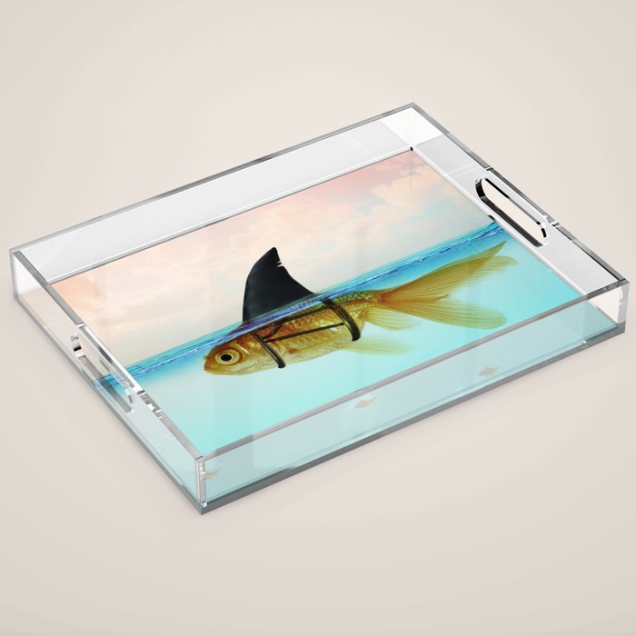 goldfish with a shark fin Acrylic Tray Gallery Image 1