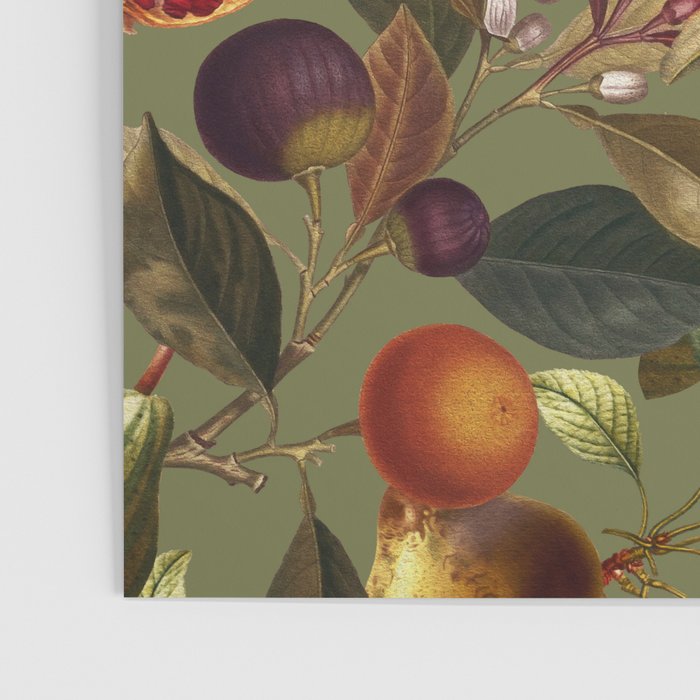 Fruit Harvest Poster Gallery Image 3
