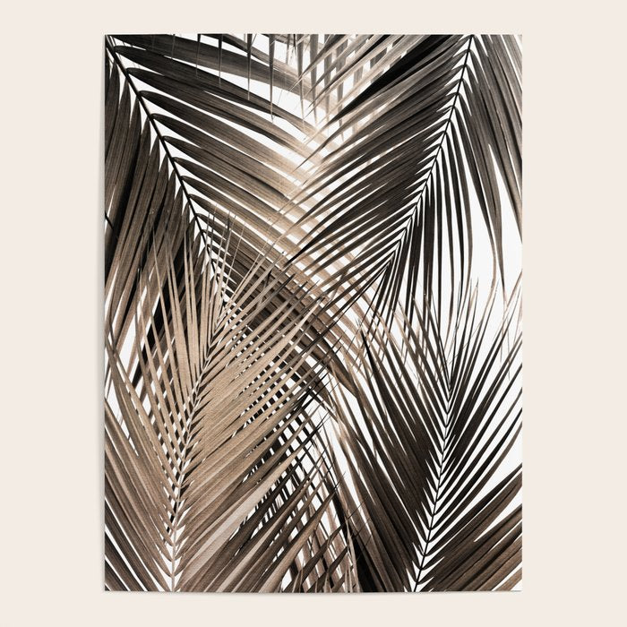 Golden Brown Palm Leaves Dream - Cali Summer Vibes #1 #tropical #decor #art #society6 Poster Gallery Image 1