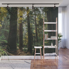 Echoes of the Forest Wall Mural Gallery Image 1