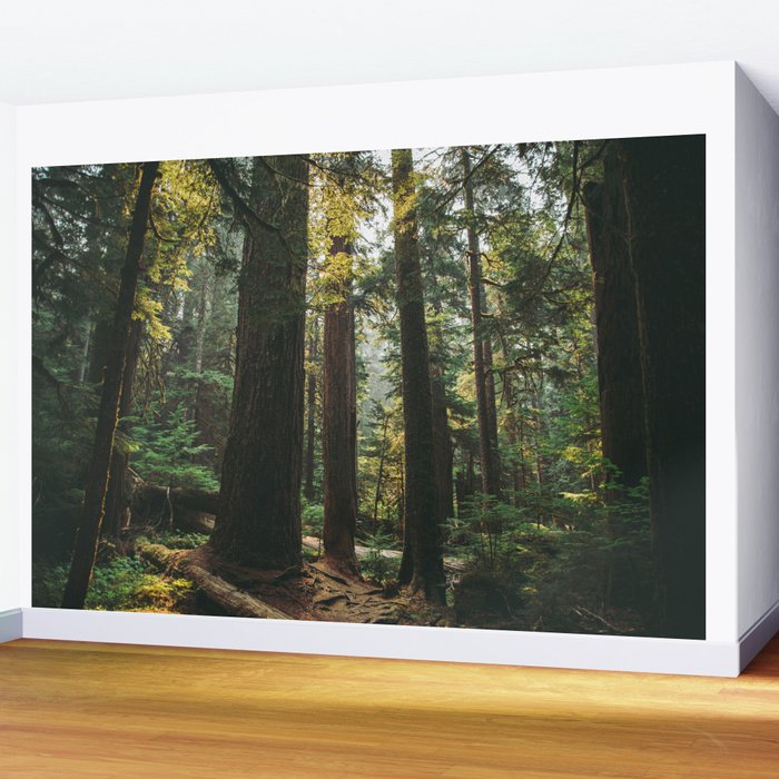 Echoes of the Forest Wall Mural Gallery Image 2