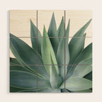 Agave blanco Wood Wall Art Gallery Image 1