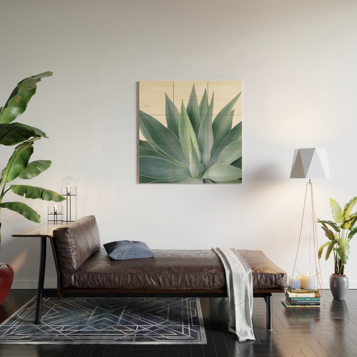 Agave blanco Wood Wall Art Gallery Image 2
