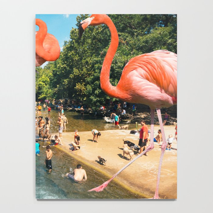 Flamingo Shore Notebook Gallery Image 4