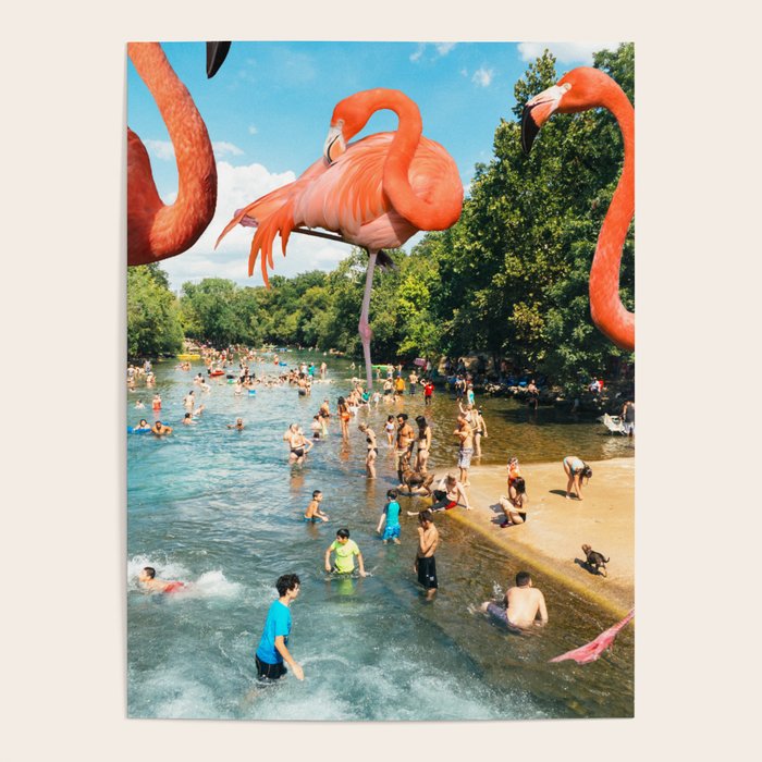 Flamingo Shore Poster Gallery Image 1