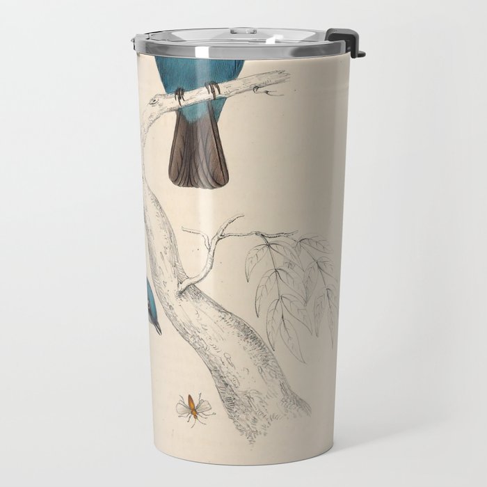 Verditer flycatcher by Elizabeth Gould from "A Century of Birds from the Himalaya Mountains," 1831 Travel Mug Gallery Image 2
