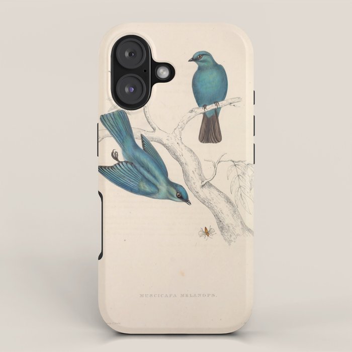 Verditer flycatcher by Elizabeth Gould from "A Century of Birds from the Himalaya Mountains," 1831 iPhone Case Gallery Image 1