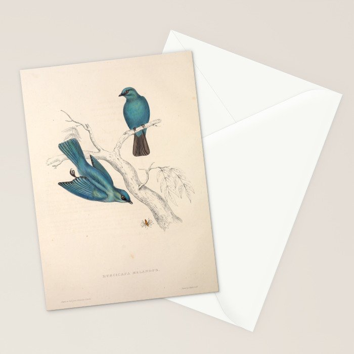 Verditer flycatcher by Elizabeth Gould from "A Century of Birds from the Himalaya Mountains," 1831 Stationery Card Gallery Image 2