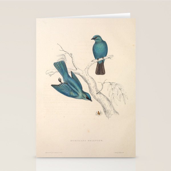 Verditer flycatcher by Elizabeth Gould from "A Century of Birds from the Himalaya Mountains," 1831 Stationery Card Gallery Image 2