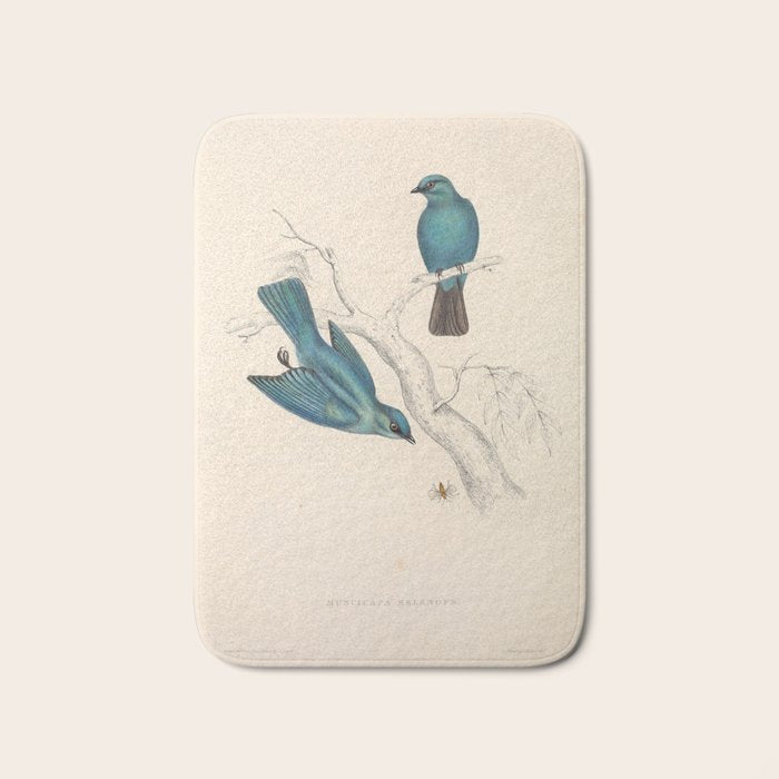 Verditer flycatcher by Elizabeth Gould from "A Century of Birds from the Himalaya Mountains," 1831 Bath Mat Gallery Image 1