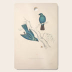 Verditer flycatcher by Elizabeth Gould from "A Century of Birds from the Himalaya Mountains," 1831 Cutting Board Gallery Image 1