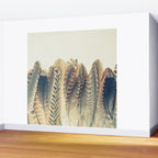 Feather Dip Wall Mural Gallery Image 2