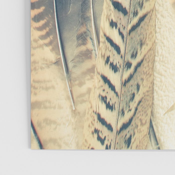 Feather Dip Poster Gallery Image 3