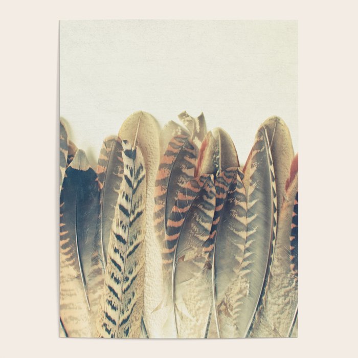 Feather Dip Poster Gallery Image 1