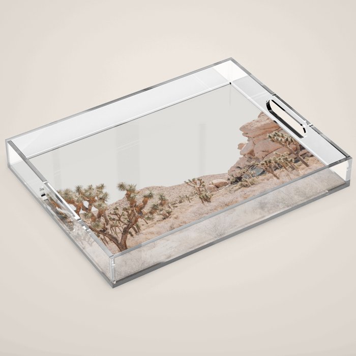 Pale Desert #4 - Joshua Tree Cactus, Nature Art, Landscape Photography Acrylic Tray Gallery Image 1