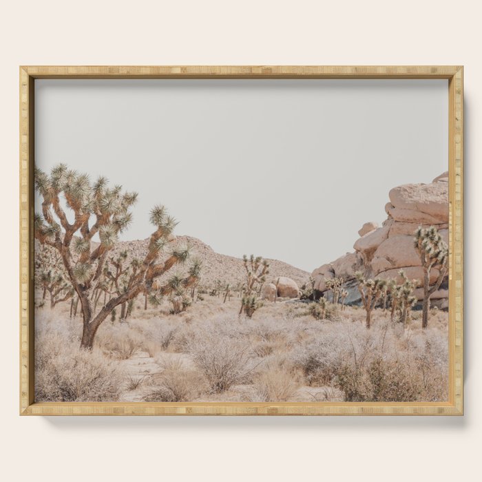 Pale Desert #4 - Joshua Tree Cactus, Nature Art, Landscape Photography Serving Tray Gallery Image 1