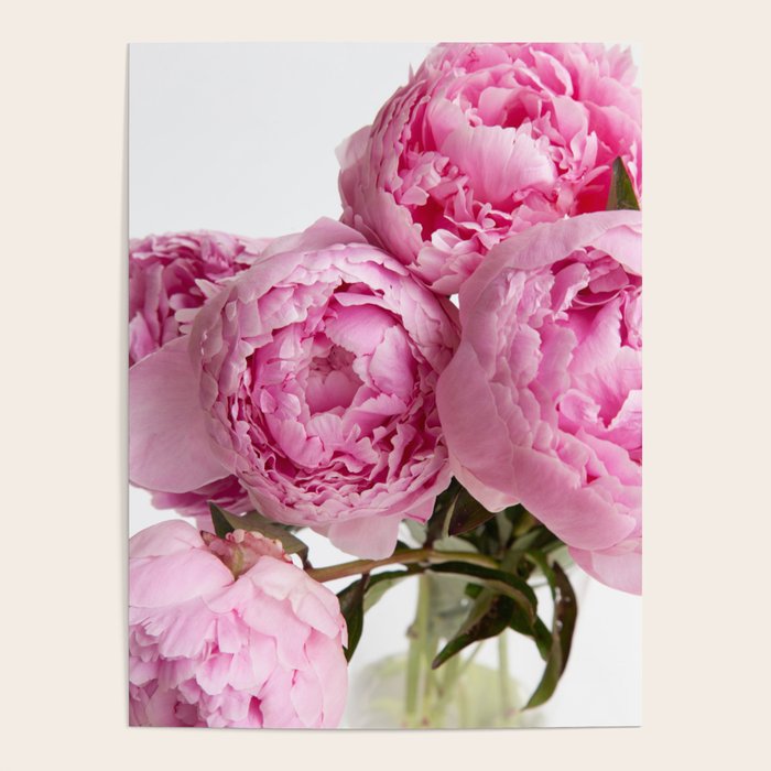 Blush Pink Peonies Poster Gallery Image 4