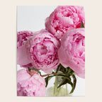 Blush Pink Peonies Poster Gallery Image 4