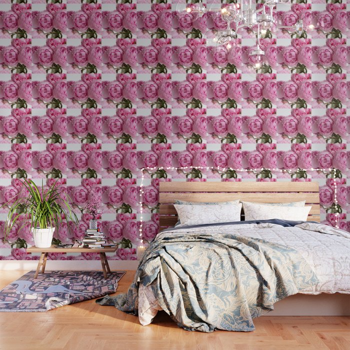 Blush Pink Peonies Wallpaper Gallery Image 3
