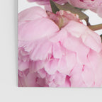 Blush Pink Peonies Poster Gallery Image 3